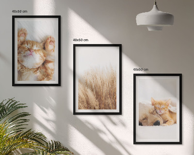 Wall art set Cute animals cats dogs boho