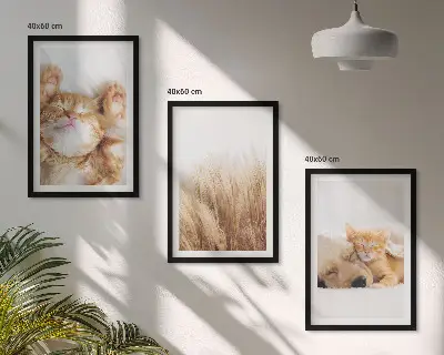 Wall art set cute cats and dogs boho style
