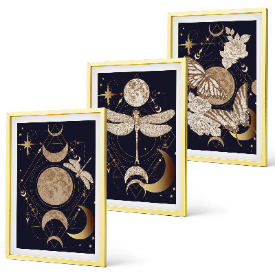Three-piece wall art piece Nature motifs moon flowers