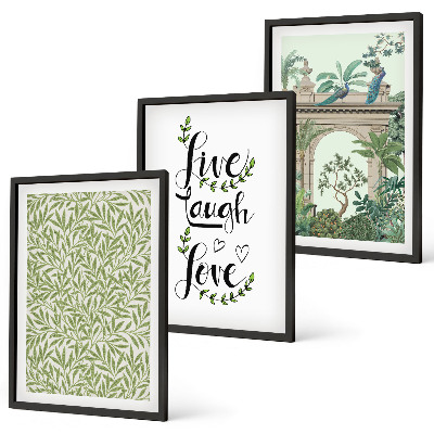 Set of 3 framed wall art pieces Green leaves of plants architecture