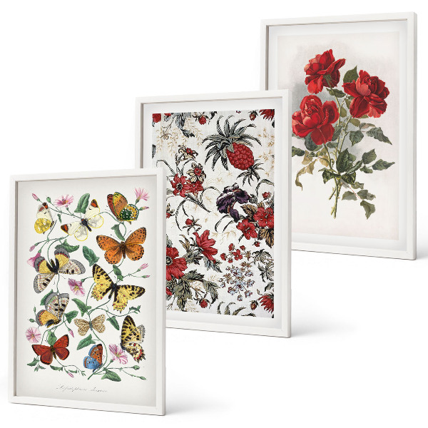 Set of 3 framed wall art pieces Butterflies flowers red roses