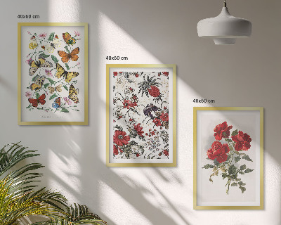 Set of 3 framed wall art pieces Butterflies flowers red roses