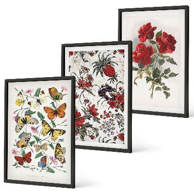 Set of 3 framed wall art pieces Butterflies flowers red roses