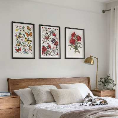 Set of 3 framed wall art pieces Butterflies flowers red roses