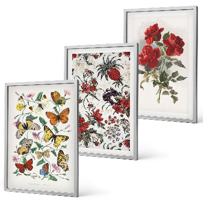 Set of 3 framed wall art pieces Butterflies flowers red roses
