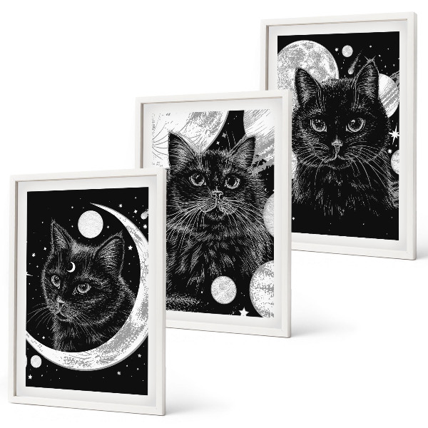 Three-piece wall art piece Black cats moon space