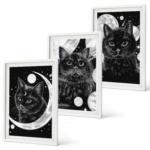 Black cats moon space wall art three-piece wall art set