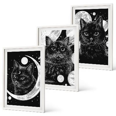 Three-piece wall art piece Black cats moon space