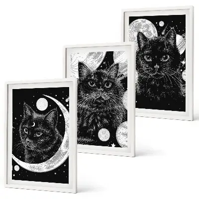 Black cats moon space wall art three-piece wall art set