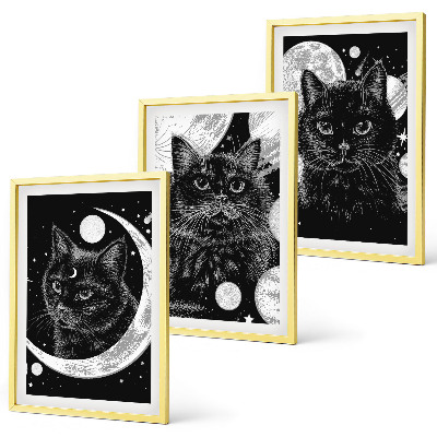Three-piece wall art piece Black cats moon space