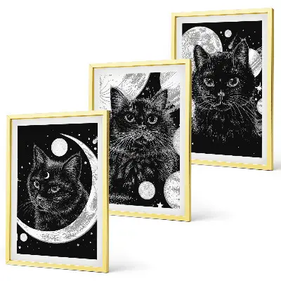 Black cats moon space wall art three-piece wall art set