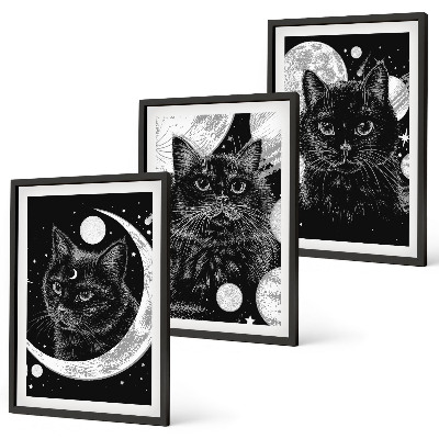 Three-piece wall art piece Black cats moon space