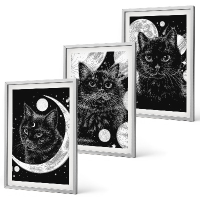Three-piece wall art piece Black cats moon space