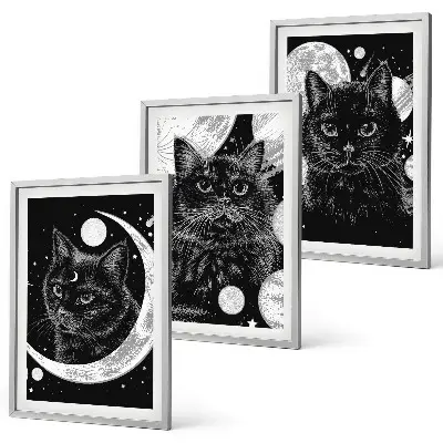Black cats moon space wall art three-piece wall art set