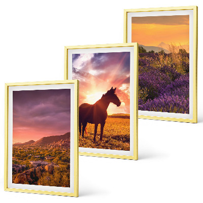 Three-piece wall art piece Mountain landscape with a horse