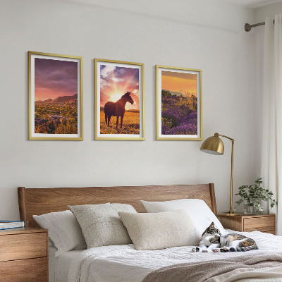 Three-piece wall art piece Mountain landscape with a horse