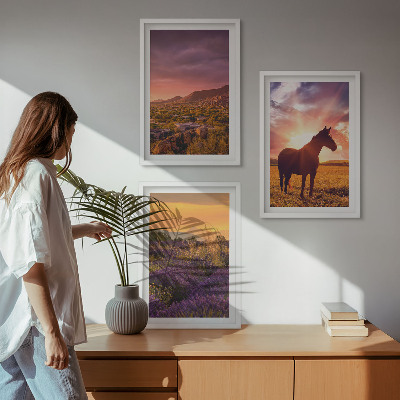 Three-piece wall art piece Mountain landscape with a horse
