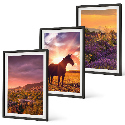 Three-piece wall art piece Mountain landscape with a horse