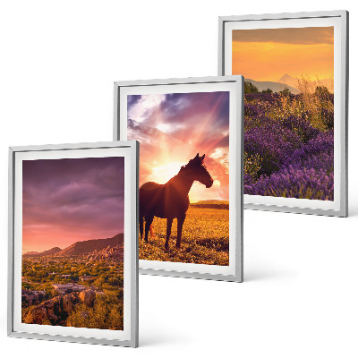 Three-piece wall art piece Mountain landscape with a horse