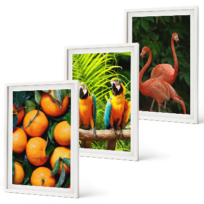 Wall art set Fruity accents in the tropics