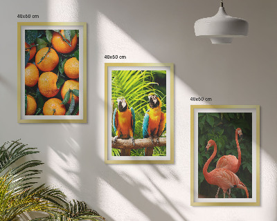 Wall art set Fruity accents in the tropics