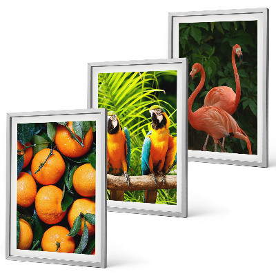 Wall art set Fruity accents in the tropics