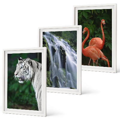 Three-piece wall art piece Tiger waterfall flamingos nature