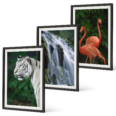 Three-piece wall art piece Tiger waterfall flamingos nature