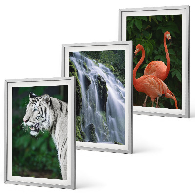 Three-piece wall art piece Tiger waterfall flamingos nature