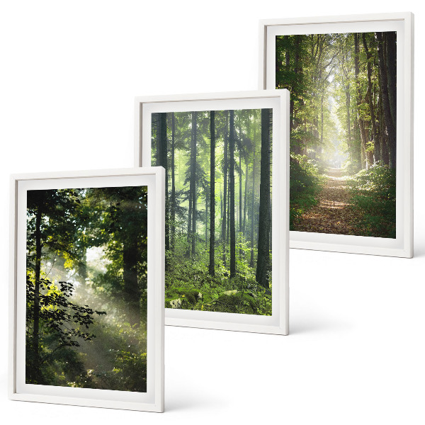 Wall art set Green forests with rays of light