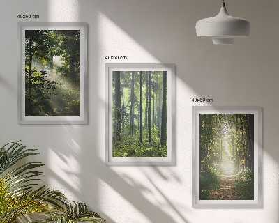 Wall art set Green forests with rays of light