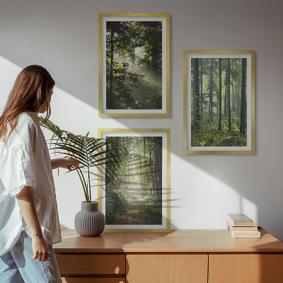 Wall art set Green forests with rays of light