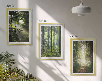 Wall art set Green forests with rays of light