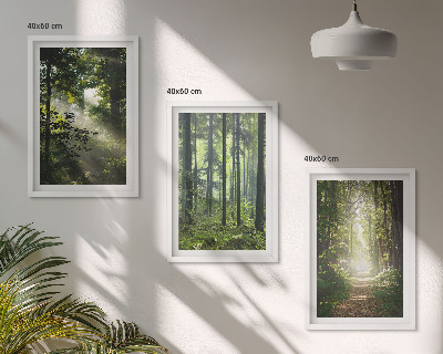 Wall art set Green forests with rays of light