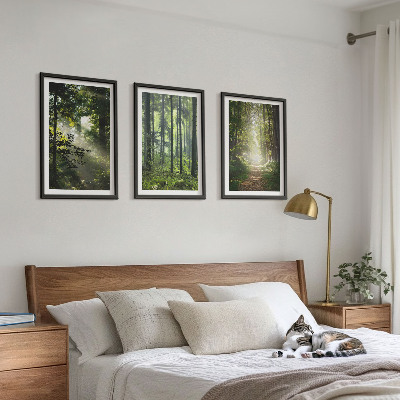 Wall art set Green forests with rays of light