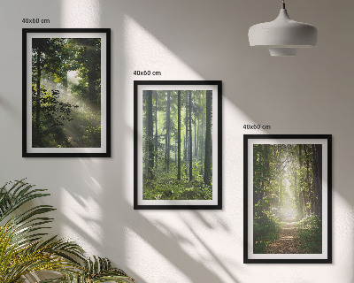 Wall art set Green forests with rays of light