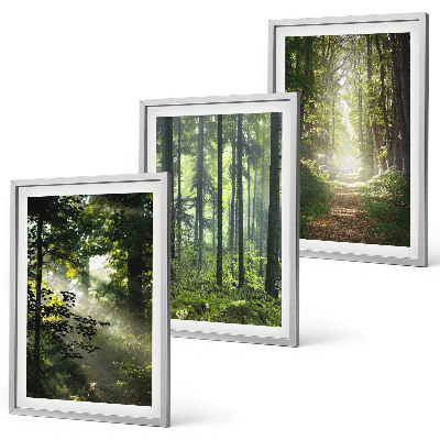 Wall art set Green forests with rays of light
