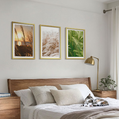 Three-piece wall art piece Grasses colorful nature