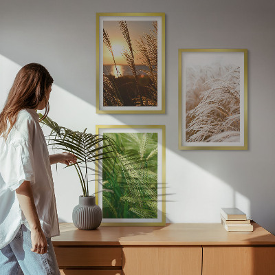 Three-piece wall art piece Grasses colorful nature