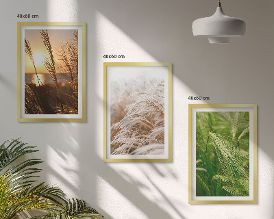 Three-piece wall art piece Grasses colorful nature