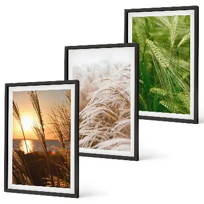 Three-piece wall art set colorful nature grasses design