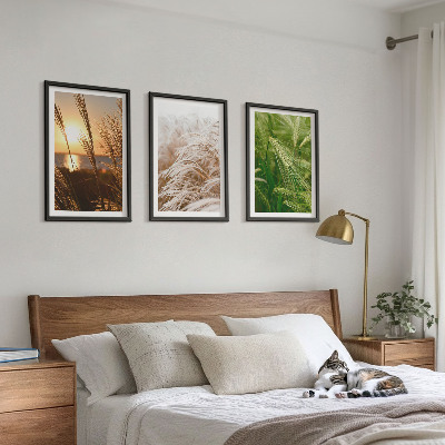 Three-piece wall art piece Grasses colorful nature