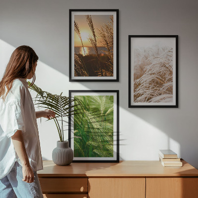 Three-piece wall art piece Grasses colorful nature