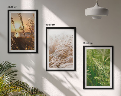 Three-piece wall art piece Grasses colorful nature