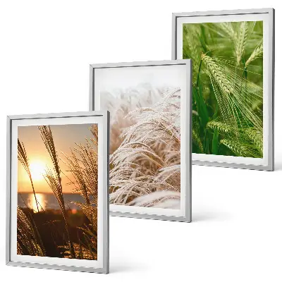 Three-piece wall art set colorful nature grasses design