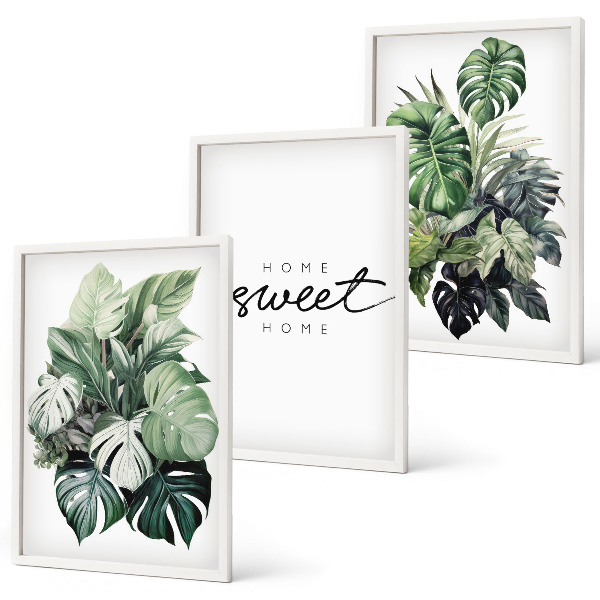 Wall art set Plants with the words Sweet Home