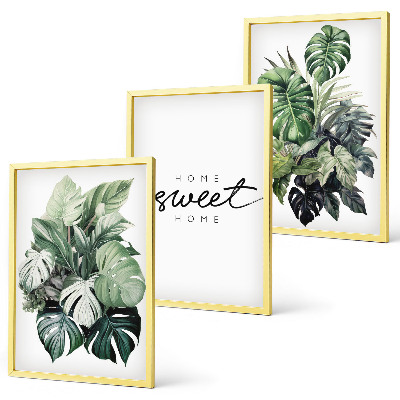 Wall art set Plants with the words Sweet Home