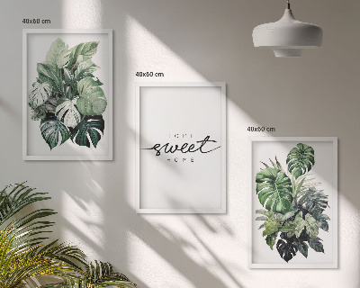 Wall art set Plants with the words Sweet Home
