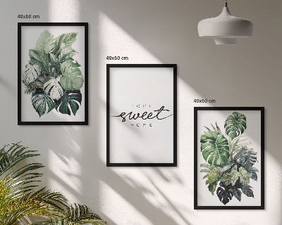 Wall art set Plants with the words Sweet Home