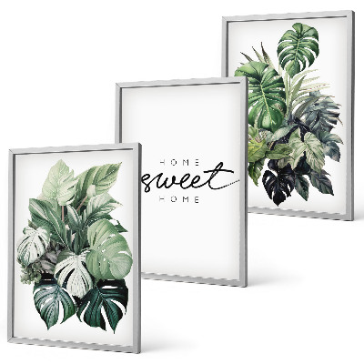 Wall art set Plants with the words Sweet Home